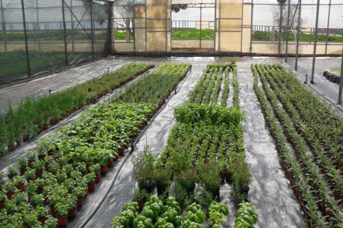 Agroturismo Masseria Suc�a