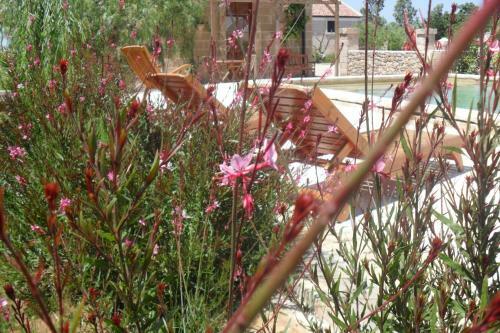 Agroturismo Masseria Suc�a