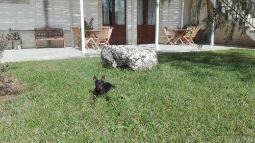 Agroturismo Masseria Suc�a