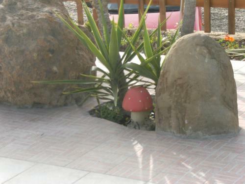 Hotel Villa Splendore
