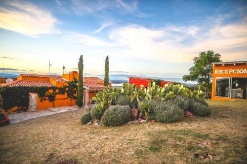 View Hotel Boutique