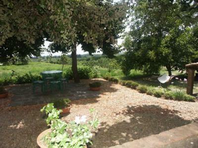 B&B Sotto I Pini