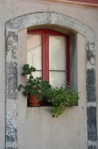 B&B Sotto I Pini