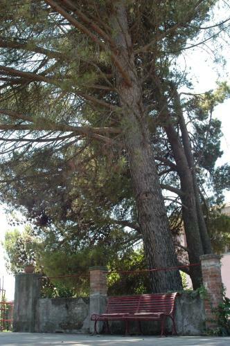 B&B Sotto I Pini