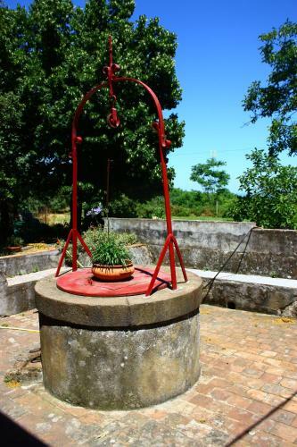 B&B Sotto I Pini