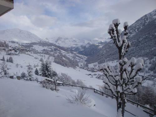 Hotel Alpe Fleurie