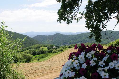 Bed & Breakfast Locanda Del Viandante