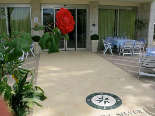 Hotel Silver