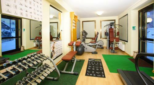 Alexander Hotel Alpine Wellness Dolomites
