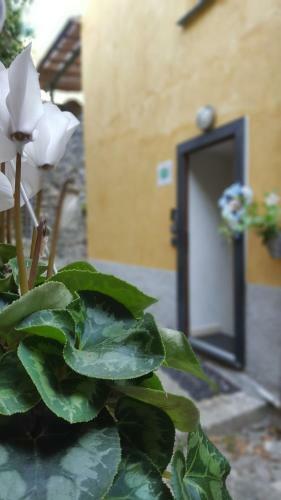 Bed & Breakfast La Rocca Maison De Charme