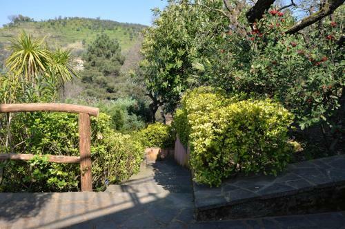 Agroturismo Agriturismo Campofiorito