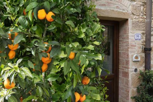 Apartamento Il Lebbio Country Home