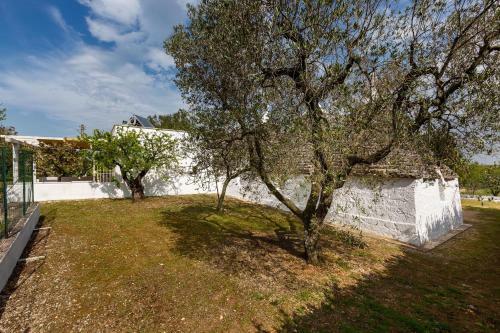 I Trulli Delle Fate Fuffe