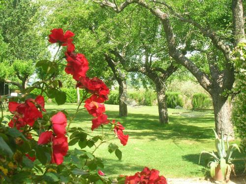 Bed & Breakfast Villa Mustaf�