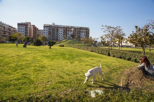 Apartamento Jardines Del Litoral Momas Homes