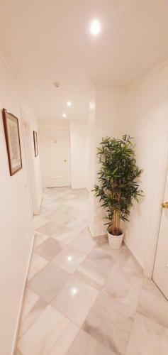 Hostal Fan Rooms Duquesa