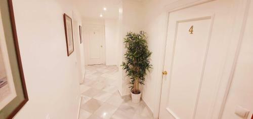 Hostal Fan Rooms Duquesa
