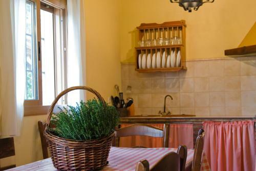 Rural Montes M�laga: Finca Pedregales