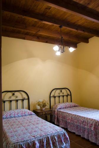 Rural Montes M�laga: Finca Pedregales