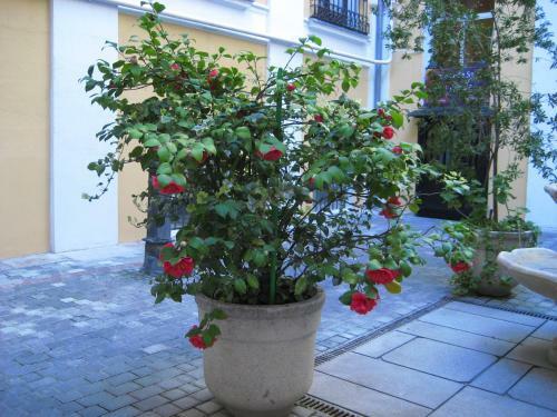 Hostal Huespedes Toledo