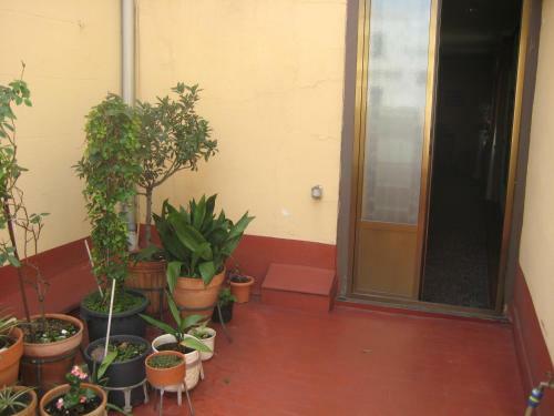 Hostal La Selecta