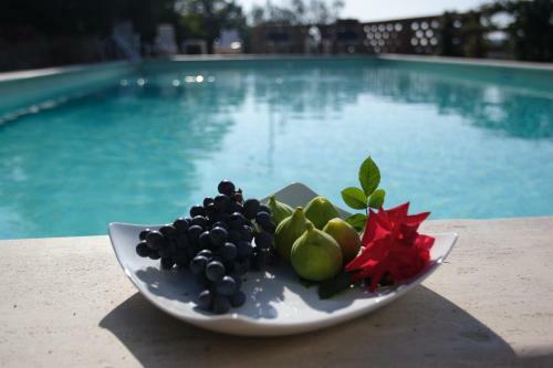 Agroturismo Agriturismo Il Sasso