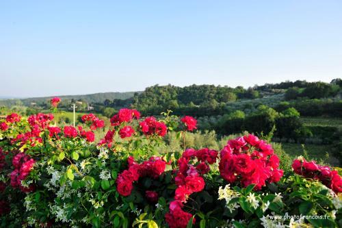 Agroturismo Agriturismo Il Sasso