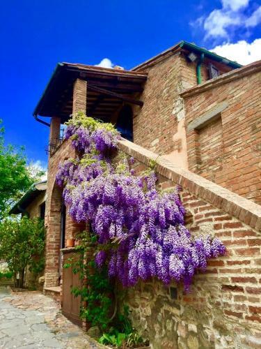 Agroturismo Relais Ortaglia