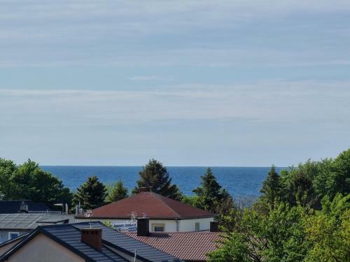 Apartamenty 5 M�rz - 365pam