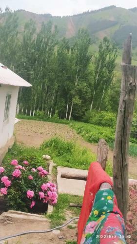 Akjol Guest House.altyn- Arashan