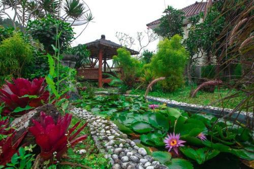Villa Violet 1 Mountain View By Masterpiece Villa