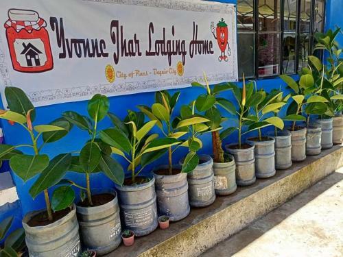 Yvonne Jhar Lodging Home