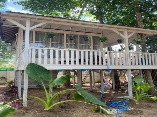 Hostal Bangkal Forest
