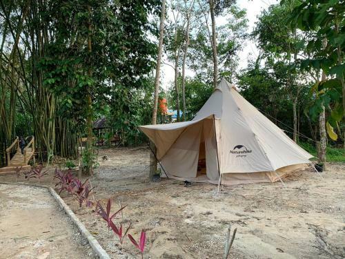 Hostal Bangkal Forest