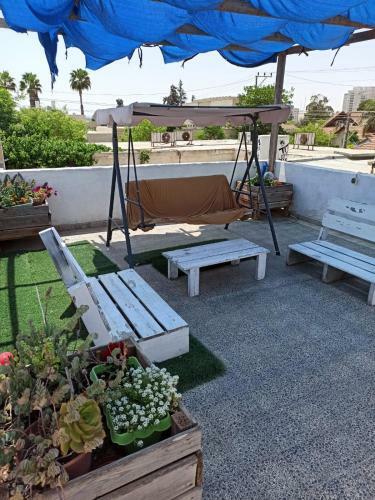 Albergue Palm Guest House
