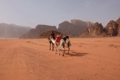 Harmony Wadi Rum