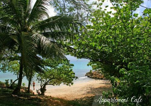 Apartamento Appartement Caf� - Proche De La Plage Du Gosier