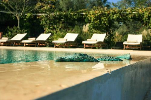Agroturismo Relais Villa Rignana
