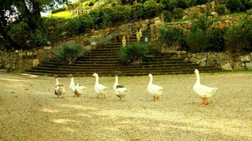 Agroturismo Relais Villa Rignana