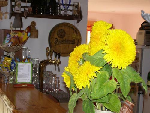 Hostal U Novotn�ch