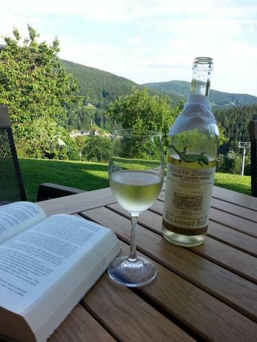 Hostal U Novotn�ch