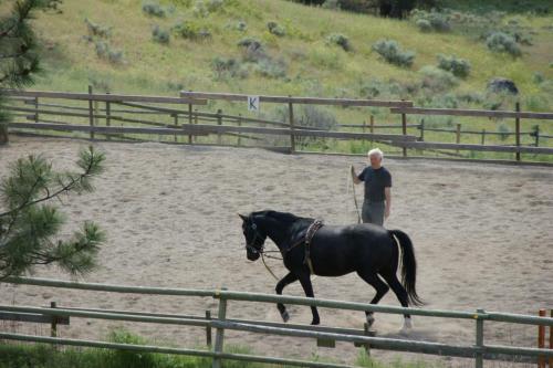 Wildhorse Mountain Guest Ranch Bed & Breakfast