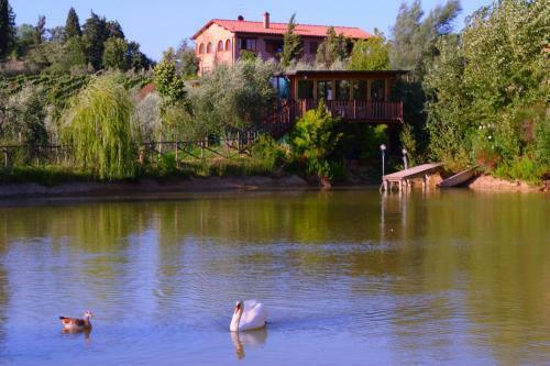Agroturismo Agriturismo Cameli