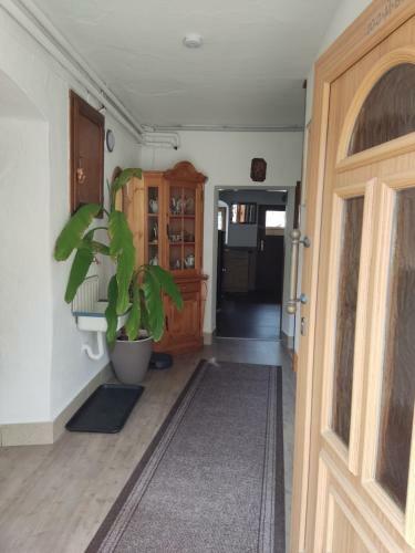 Apartamento Ferienwohnung Franz�sch