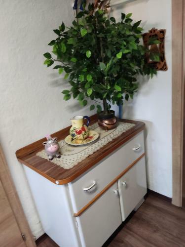 Apartamento Ferienwohnung Franz�sch