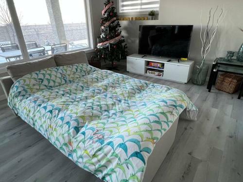 Apartamento Aurora Rainbow Sunrise View At Private Basement