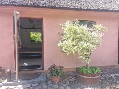 Agroturismo Liebhaveri I S�rklasse