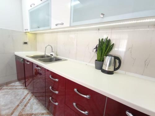 Apartamento Savi Accomodations Riviera Center