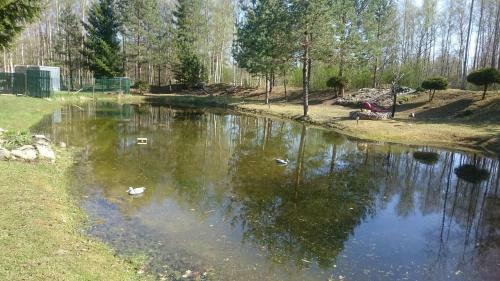 Kaasiku Holiday Home