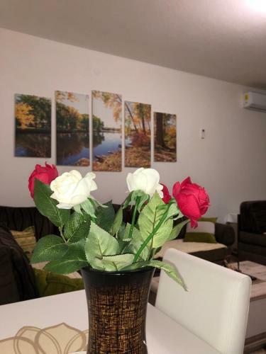 Apartman M&s